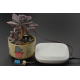 EcoDuino - set za automatski uzgoj biljaka