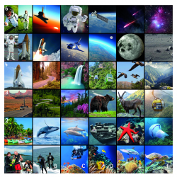 Poligon – Kreativna priča 90x90 cm