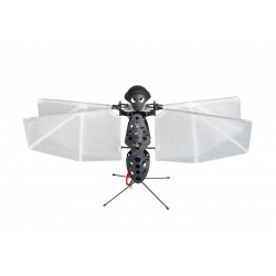 Flapper Nimble+ Starter Kit