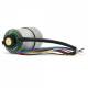 29:1 Metal Gearmotor 37Dx52L mm with 64 CPR Encoder 12V 365rpm